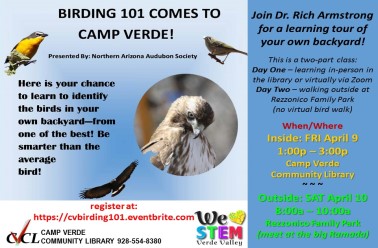 Birding 101 flyer