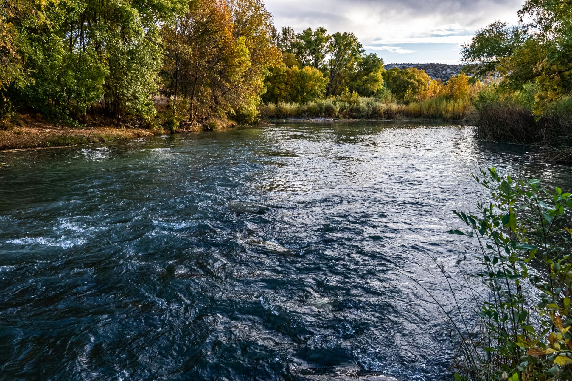 Verde River at Rezzonico Park