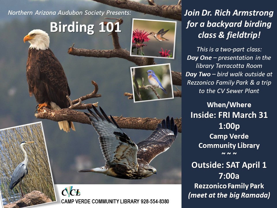 birding 101 2023 flyer