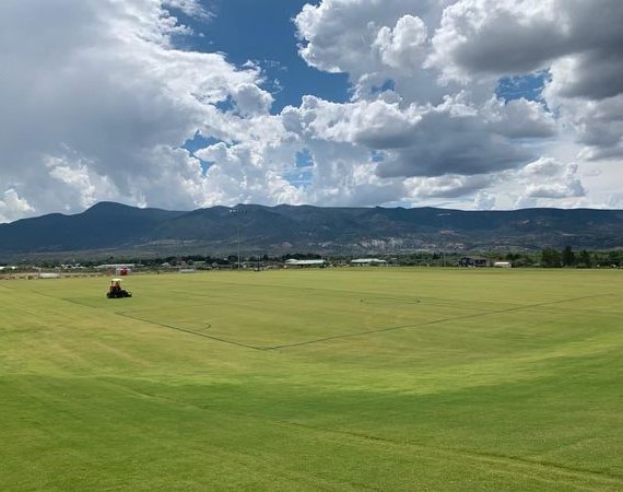 grounds mowing