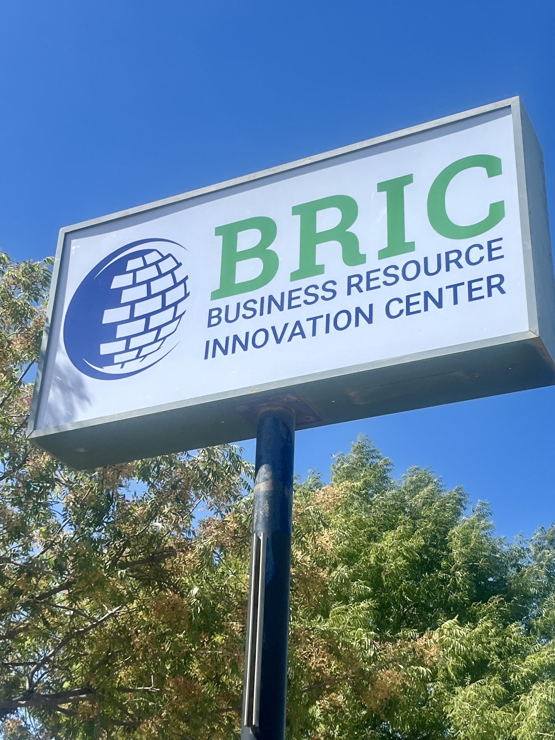 BRIC 1