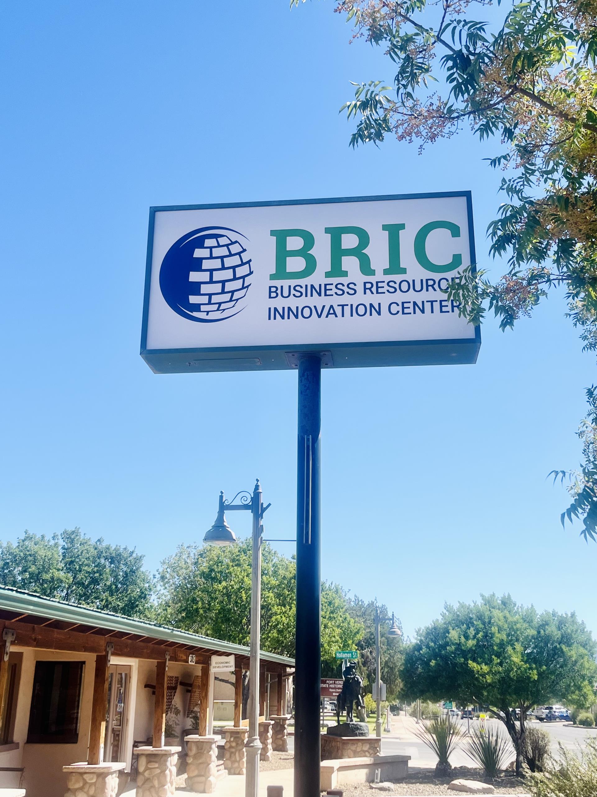 BRIC 2